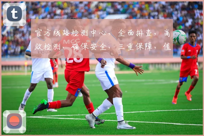 官方线路检测中心，全面排查，高效检测，确保安全，三重保障，值得信赖，