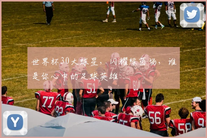 世界杯30大球星，闪耀绿茵场，谁是你心中的足球英雄