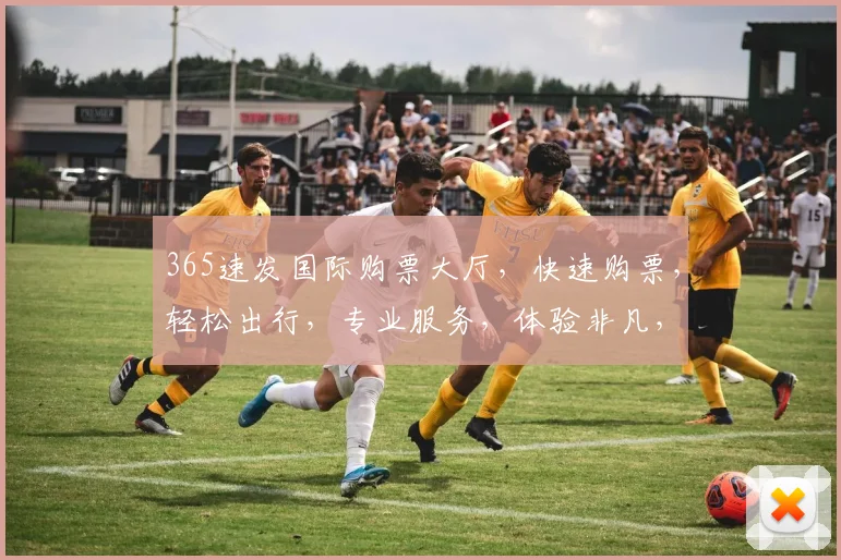 365速发国际购票大厅，快速购票，轻松出行，专业服务，体验非凡，不容错过，必看指南